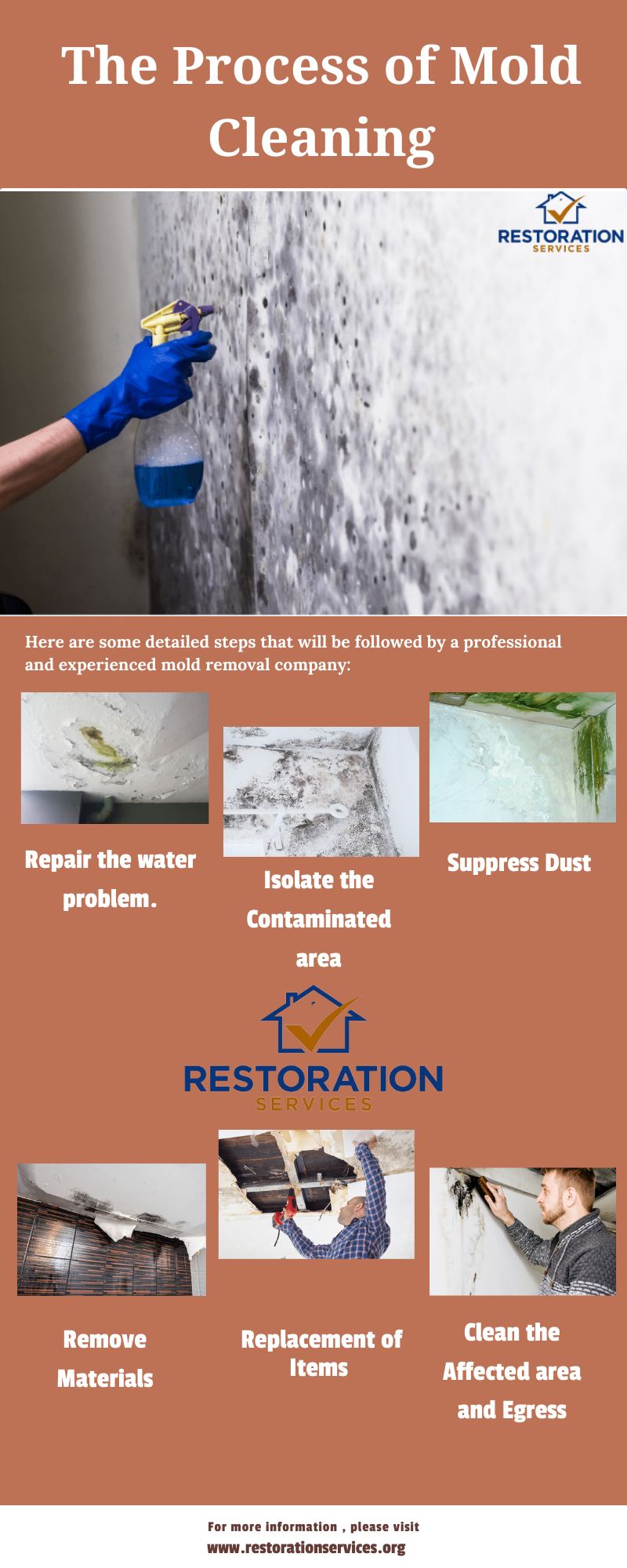 The Process of Mold Cleaning