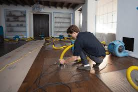Restoration Companies Utah: All Information and Detailed Analysis