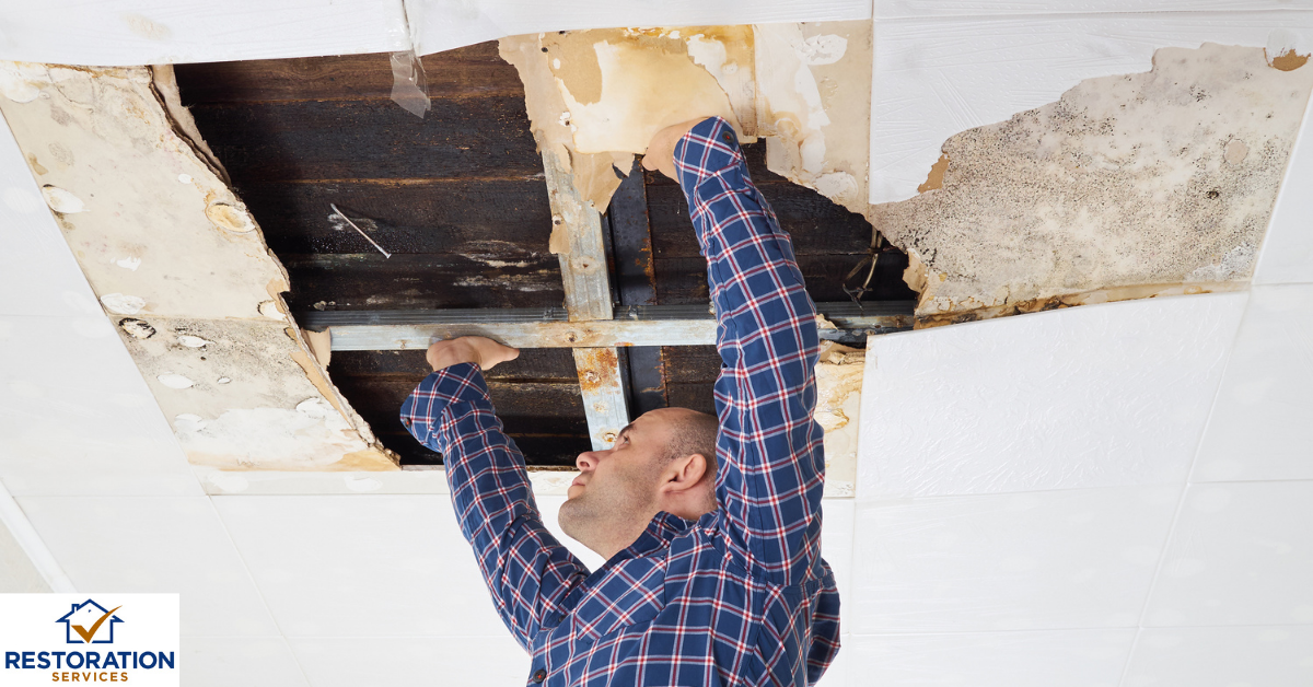 Water Damage Restoration NYC : Detailed Analysis and Information