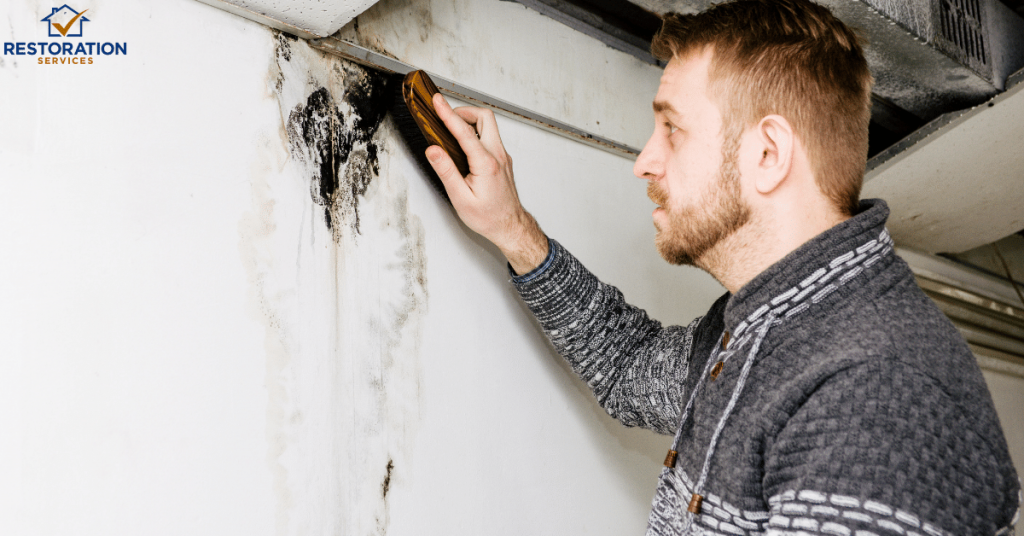 Black Mold Removal Cost